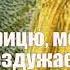 Грицю Грицю до роботи караоке