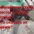 ВПЕРВЫЕ ПОЛНОЕ ВИДЕО ИЗ МАКЕЕВКИ СМЕРТЬ солдат мобилизация В рф макеевка армия война