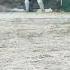 Hitting Hard Cricket