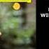 SCHUMANN SYMPHONY Nº 4 Op 120 LEONARD BERNSTEIN WIENER PHILHARMONIKER