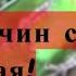 10 причин почему умирает попугай 10 причин смерти волнистого попугая Почему умирает попугай