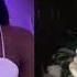 LGBTQ Member React To Shotta Flow Gay WebbUglyAF