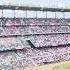 BASEBALL GAME ATLANTA BRAVES VS SAN DIEGO PADRES FIRST TIME NAMIN MANOOD IN PERSON