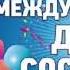 День соседей 29 мая История и особенности праздника Международный день соседей