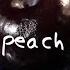 Slothrust Peach Official Lyric Video