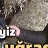 Aile Çiftliğindeyiz Çiftçinin Seyir Defteri
