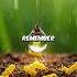 That Rain Smell Has A Name Petrichor RainFacts DidYouKnow EarthSmells ScienceShorts