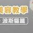 波斯貓腳底毛修剪 貓咪腳底毛修剪 貓用針梳 除廢毛針梳 奧本迷你款寵物腳底毛電剪MB 021 CT31 CT20