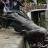 Slave Trader S Statue Toppled In Bristol As Thousands Join Anti Racism Protests BBC News