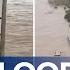 Three Dead One Missing In NSW Mid North Coast Flooding 9 News Australia