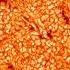 AR12593 Solarscience