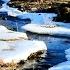 Sounds Of The Stream Sounds Of Water And Birdsong For Relaxation And Stress Relief