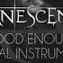 Evanescence Good Enough Official Instrumental