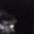 Elvis Presley All Shook Up Live Early Days
