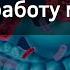 Как микробиом кишечника влияет на работу мозга Хеннинг Сартор Верба Майер Микробиота