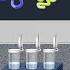 SDS PAGE Sodium Dodecyl Sulfate PolyAcrylamide Gel Electrophoresis Animation
