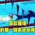 空心之城 无臂飞鱼郭金城
