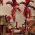 Fillter Check Tamul Gosor Pat V Enka Hoi Gol Amezing