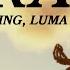 AI VIDEO Image To Video Showdown Sora Vs Runway Vs Luma Featuring Kling