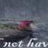TAWEEL AL SHAWQ ARABIC NASHEED MUHAMMAD AL MUQIT ENGLISH TRANSLATION