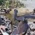 Fishing Shrimping Eel Hunting On A Raft Full Survival Journey On The Wild River