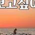 보고싶어 임주연 보고싶어 임주연 2008년 7080가요산책 신곡 트로트 포크 가수 노래방 가사 음악 여행 쇼츠 Shorts 연속재생