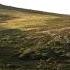Tale From The Moorland Song For Courage