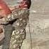 RAMBO 3 Movie Demands And Record Breaking Production Budget Shorts Short