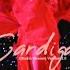 Taylor Swift Interlude Cardigan The Eras Tour Version 2 0 Studio Version