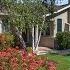20393 Zorka Ave Saratoga CA