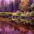 Hanna Lindgren Comfortable Under The Surface Ambient Relaxing Music With Birds Chirping