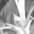 Porcupine In My Garden