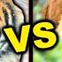 SIBERIAN TIGER Vs BENGAL TIGER Who Is Stronger