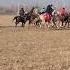 Music Motivation Remix көкпар Horse Live Like