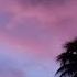 Morning Alarm Tone With Piano And Nature Sound Free Ringtone Download Relaxing Nature Ringtone