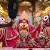 Shree Jagannath Live Darshan Rath Yatra Shorts Jagannath Live Darshan Puri Rathyatra