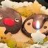 I Want To Make A Birthday Cake For My Boyfriend Vlog Pingu