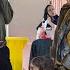 Newborns Discharge Canceled Mother S Tears And Father S Protest At The Hospital