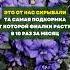 Это от нас скрывали Та самая подкормка от которой фиалки растут в 10 раз за месяц цветы сад