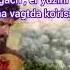 Odam Ato Va Momo Havo