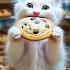 Kitten Goes Yucky For Cookie Cat Kitten Cute