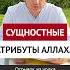 Сущностные атрибуты Аллаха Ильшат абу Сальман ислам вера коран рай омовение фикх намаз