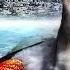 Giant Shark Destruction SCIFI MONSTERS Full Movie In English