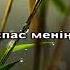 Досым караоке Жанболат Найзабек Өнер Қырандары
