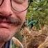 Незабываемый день со священными оленями Японии Нара