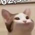 POPCAT