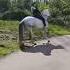 Slide Slide Intense Frenna Zaazaa Slidemaster Energy Robe Nosaddle Prehorse Horsie