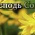 Сердце торжествует Минус