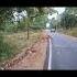 Kabini Forest Tiger