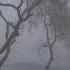 Scars On Broadway Whoring Streets Slowed And Reverb